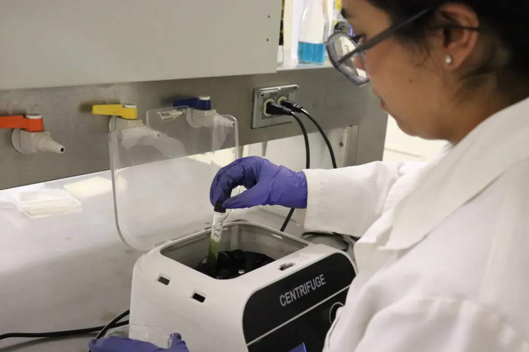 Impulsa UACJ formación científica y solución de problemas de los ciudadanos con estancias de verano