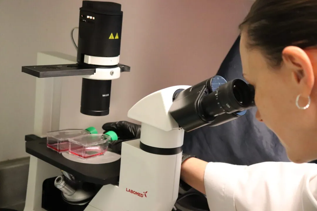 Desde la UACJ se investiga fármaco en desarrollo para frenar las células del cáncer de mama